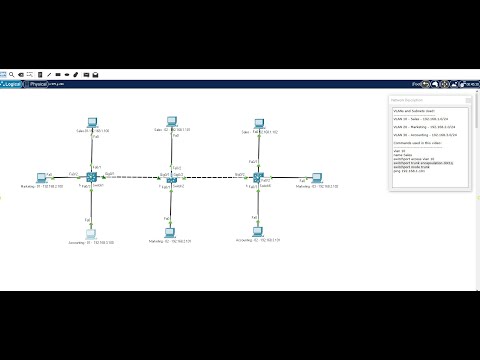 VLAN and Trunk Configuration for Beginners