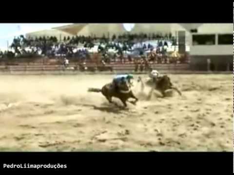 MANO WALTER - Ser Vaqueiro é Bom Demais