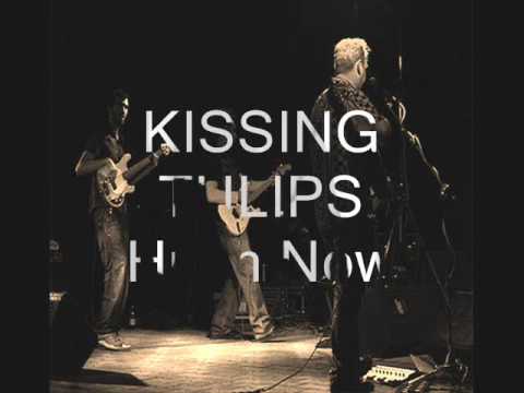 Kissing Tulips - Hush Now