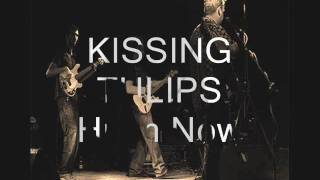 Kissing Tulips - Hush Now