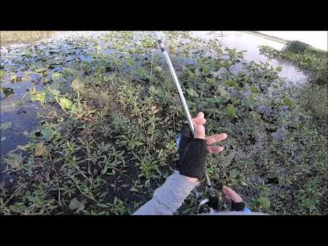 Snakehead Fishing 09072019