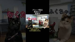 割と最近のギターの話総集編【猫ミーム】#猫ミーム #猫ミーム日常 #ギター
