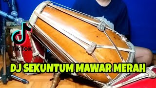 Download lagu DJ BUNGA MAWAR MERAH SATU TANDA CINTA Koplo Tiktok COVER Kendang Rampak!!! Sekuntum Mawar Merah mp3 Download lagu DJ BUNGA MAWAR MERAH SATU TANDA CINTA Koplo Tiktok COVER Kendang Rampak!!! Sekuntum Mawar Merah mp3