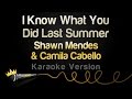 Shawn Mendes Camila Cabello I Know What You Did Last Summer Karaoke Version