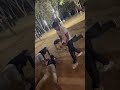 JATTA KA CHORA PUSHUP COMPETITION Jaat Shorts Ytshorts Indianarmy Dance Vibes Youtube