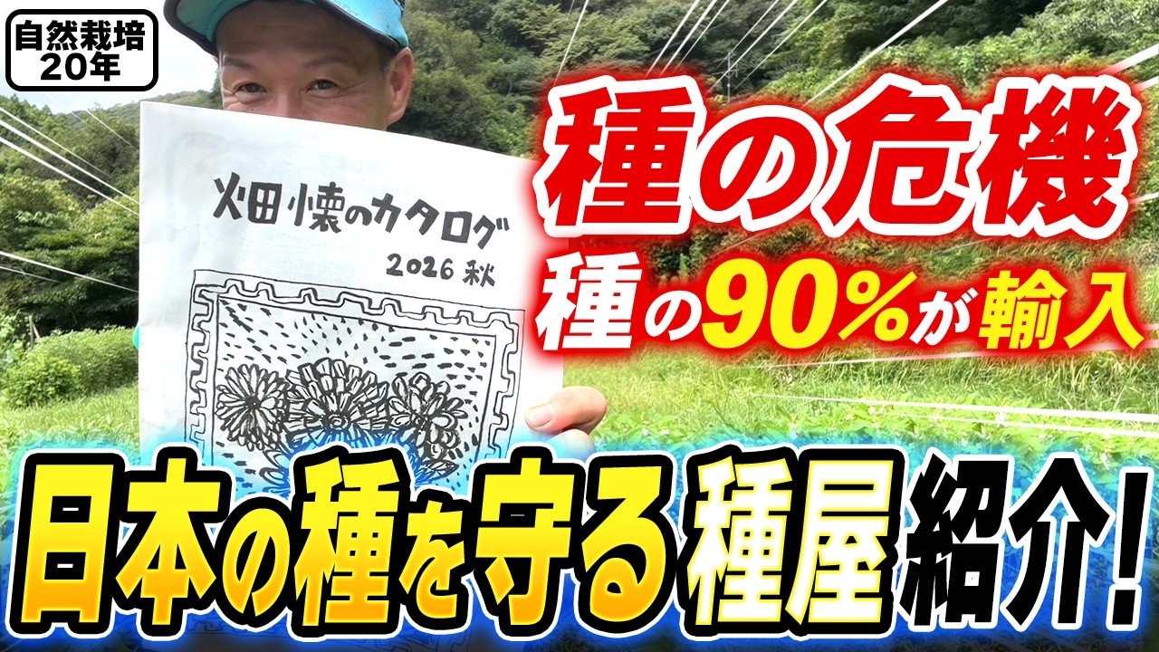 30年以上固定種・在来種を守り続ける種屋「畑懐」の取り組みと自家採種の重要性