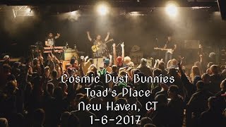 Cosmic Dust Bunnies 
