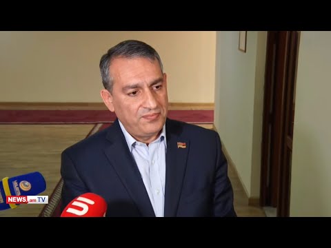 Armenian ruling party MP: I can