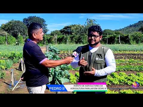 EVENTO COM AGRICULTORES DA AGRICULTURA FAMILIAR EM PEDRO II REÚNE AUTORIDADES DE CIDADES VIZINHAS.