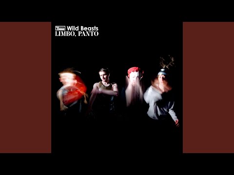 Vigil For A Fuddy Duddy - Wild Beasts