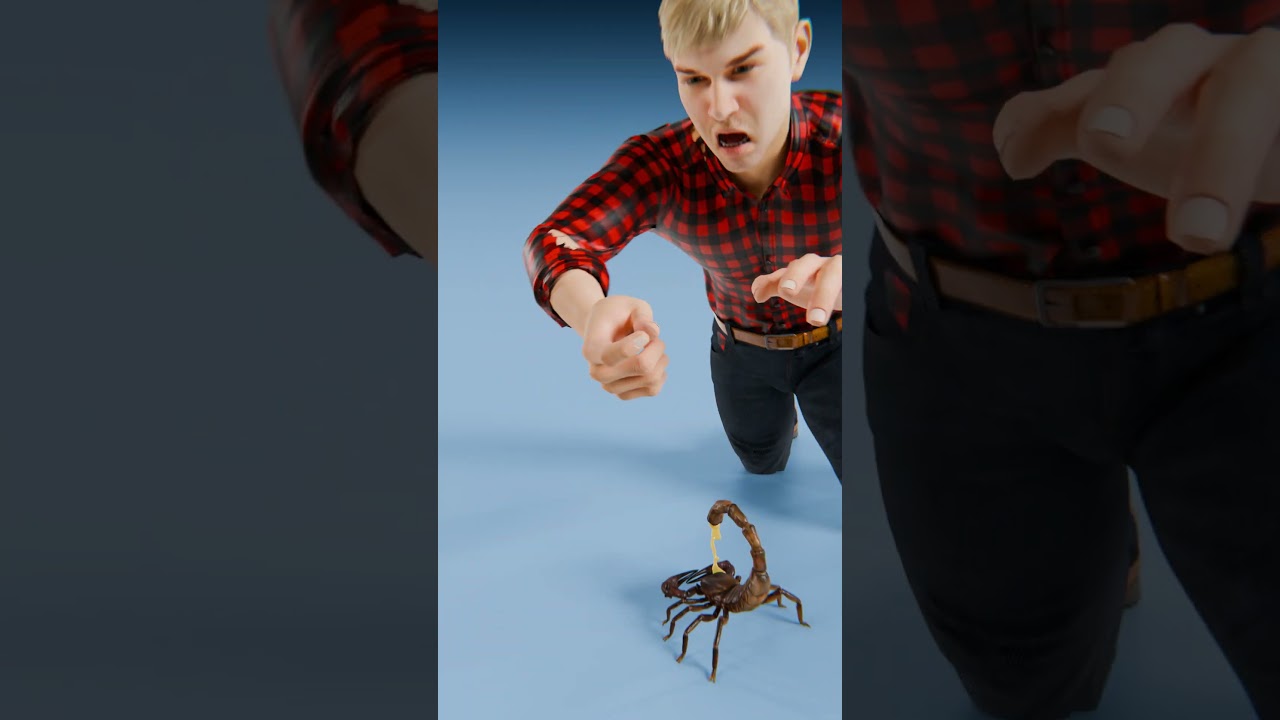 Scorpion Ripping Its Tail