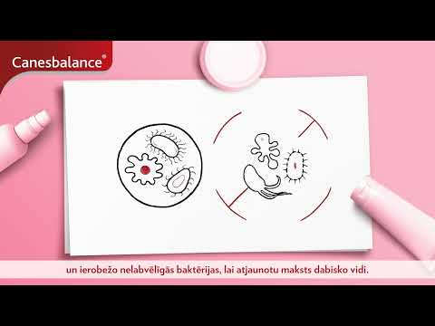 CANESBALANCE pesāriji N7