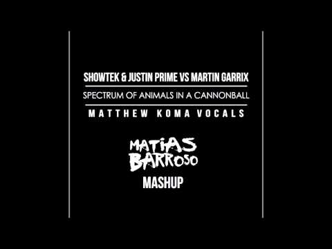 Spectrum of Animals in a Cannonball (Matias Barroso Mashup)