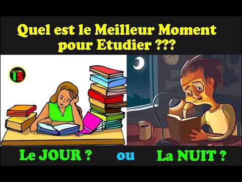 Le Meilleur Moment pour Etudier de Manière Efficace en Peu de temps | #TemaStudy