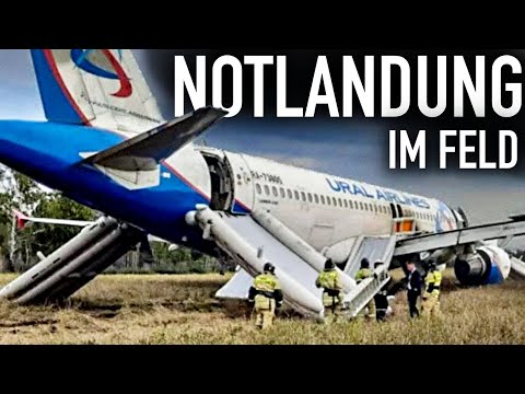 Notlandung im Feld! Airbus geht der Sprit aus! AeroNews