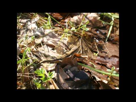 Agnieszka Szczech: jak zwalczyć fałszywą tożsamość?