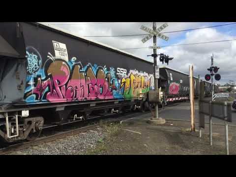 RL Classes - SSR Grain