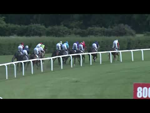 2019.06.09. 07. futam - DIÓSPUSZTAI DÍJ (I.kat.)