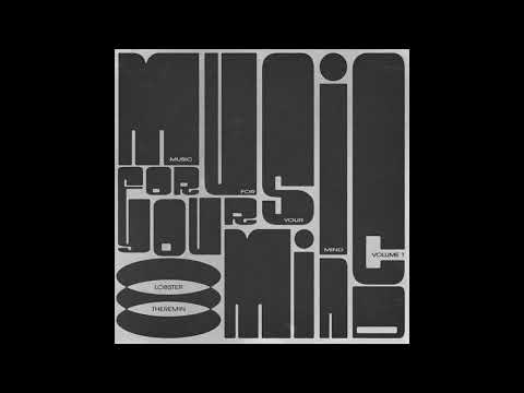 Slim Steve - I Dunno Guess It's Another Untitled Maybe [LTMFYMV01]