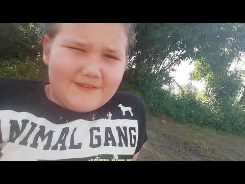 Mein erster richtiger song