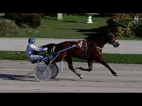 Aversa trotto 13 Gennaio 2021 - 2° Corsa