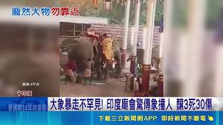 大象打架別圍觀! 印女遊客遭猛撞.踩踏身亡 大象暴走不罕見! 印度廟會驚傳象撞人 釀3死30傷 棲息地消失釀人象衝突頻傳! 專家籲: 保持距離｜記者 盧睿鋐｜國際關鍵字20260519｜三立iNEWS