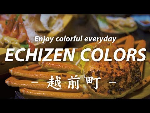 【JAPAN TRIP】ECHIZEN COLORS - Winter「冬」- /越前町観光プロモーション動画【福井県観光】