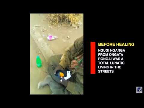 Santo Deus de Misericórdia que olha pelos humildes e necessitados.