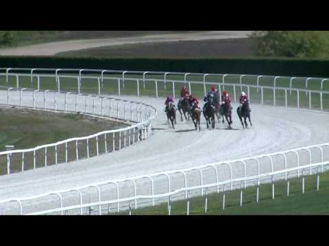 2017.04.23. 1. futam - GRÓF ZICHY JÁNOS EMLÉKVERSENY HENDIKEP (V/b.) (szintetikus pálya)