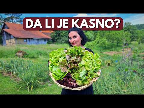 When is the RIGHT Time to Start Your Garden?