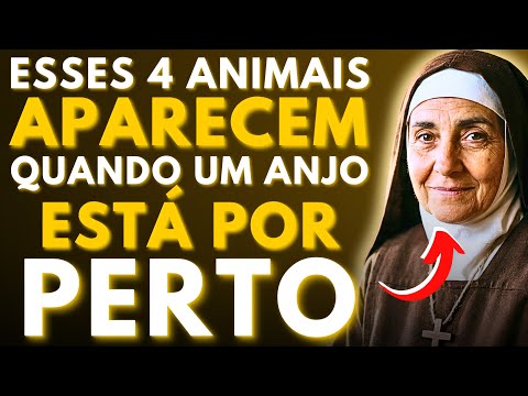 ⚠️SANTA TERESA REVELA: 4 ANIMAIS QUE APARECEM QUANDO UM ANJO ESTÁ POR PERTO—NUNCA TE CONTARAM ISSO!