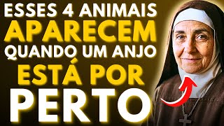 ⚠️SANTA TERESA REVELA: 4 ANIMAIS QUE APARECEM QUANDO UM ANJO ESTÁ POR PERTO—NUNCA TE CONTARAM ISSO!