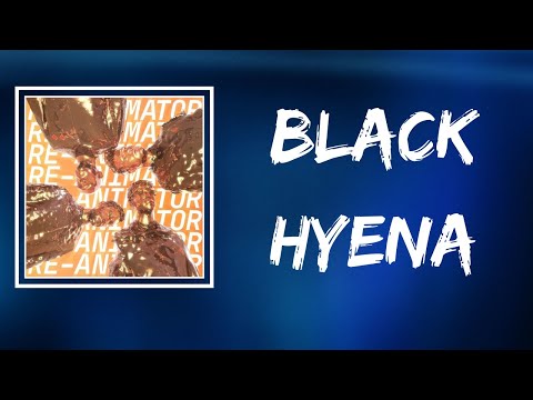 Everything Everything - Black Hyena (Lyrics)