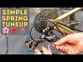 Easy DIY Spring Bicycle Tuneup Save 100 And Do It Yourself
