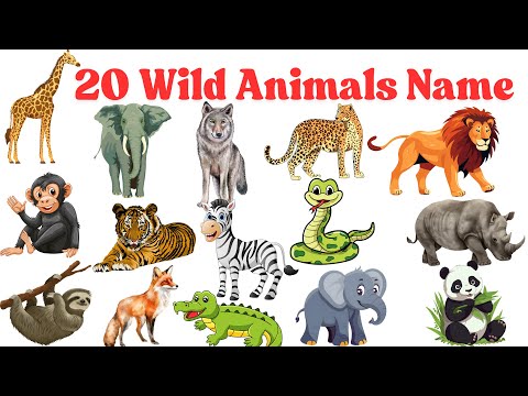 20 Wild Animals Name in English | Wild Animals | Kids vocabulary | English Educational Video