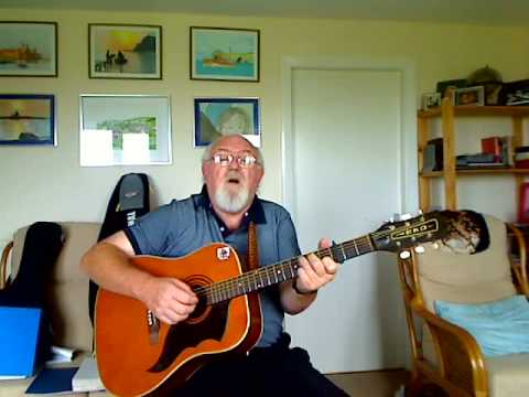Guitar: The Wren Song