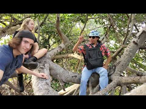 Nice or Slice - WaWa peach tea episode 7