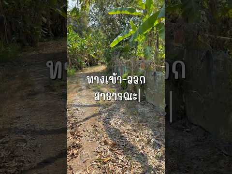 Phan, Chiang Rai, Mae Yen, Phan, Chiang Rai, , 3,328 sqm, Land For Sale, by Tanapat Yamsai, 500165886 - DDproperty.com