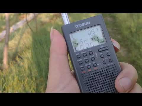 tecsun PL365 ssb
