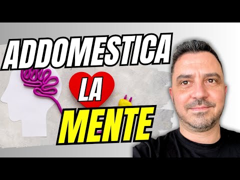 Taming your MIND: Discover the POWER of QUESTIONS