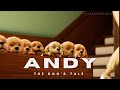 ANDY A Dog S Tale Short Movie Review Shorts Shortmovie