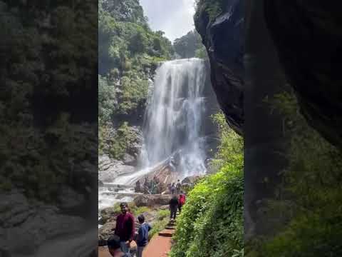 #hebbe falls,chikmagalur❤️#adventures #travel #trending  #viral shorts