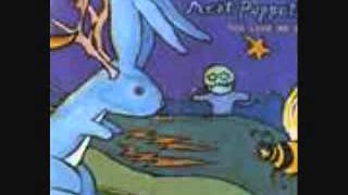 Meat Puppets - Diaper