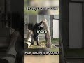 Strength of Gorilla #silverback #gorilla #strength