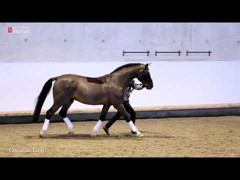 COEUR DE LION *2000 v. Coriano - Cassini I