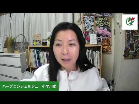 医療ビジネス薬科学科 エッグポマンダー、解毒ハーブ、毒だしデトックスワイン、すみれクリーム！つちやよしこ先生の「聖なるハーブダイアリー」を受講してきました