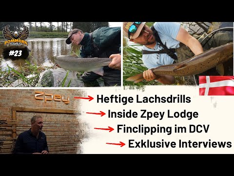 Lachsangeln in Dänemark / Wir zeigen Dir die Zpey Lodge und besuchen das DCV