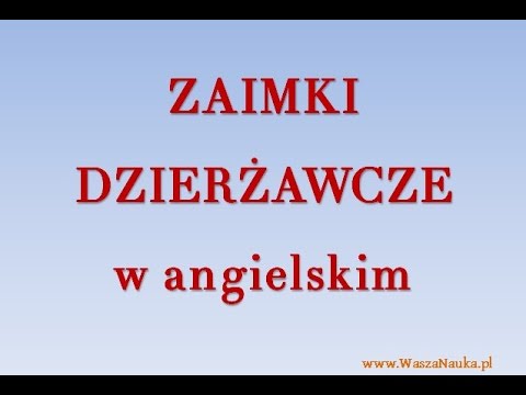 Zaimki dzierzawcze w angielskim