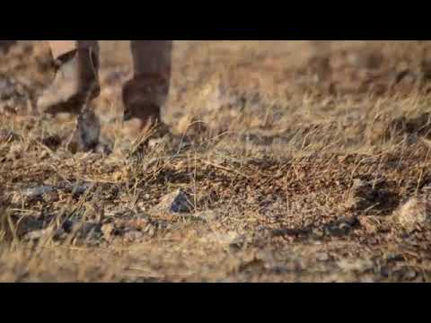 Asi Styla Seni Sana Anlatayım mı (Official Video)