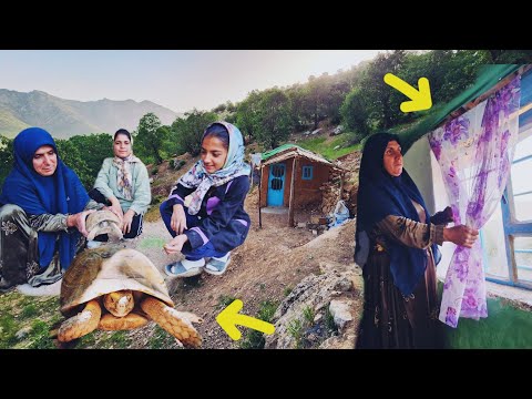 Zeinab found the largest mountain tortoise | Incredible surprise for mother